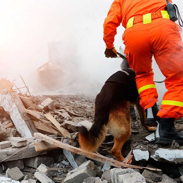 Experto Universitario en Atención Sanitaria Urgente en Situaciones Extremas y Catástrofes