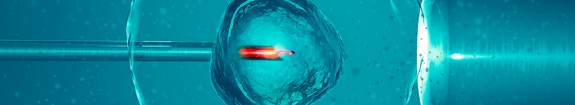 Máster de Formación Permanente en Genética Clínica y Técnicas Avanzadas ...